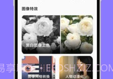大杏匣子v1.0.13截图
