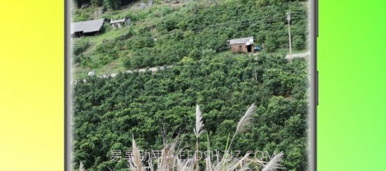 万能拍照识花v23.6.15截图