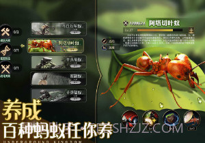 小小蚁国单机版v1.55.15截图