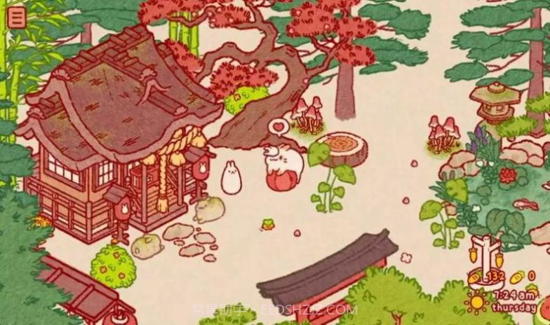兔兔岛免广告版v1.0.12截图
