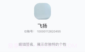 双子座IMv1.1.17截图
