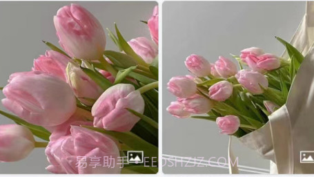 精灵动态壁纸大全v1 鐎瑰宕渧1.14截图