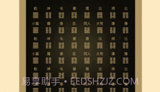 天天易问v1.11截图