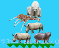 动物叠叠乐v8.19截图