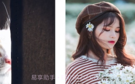 壁纸主题大师v1.1.16截图