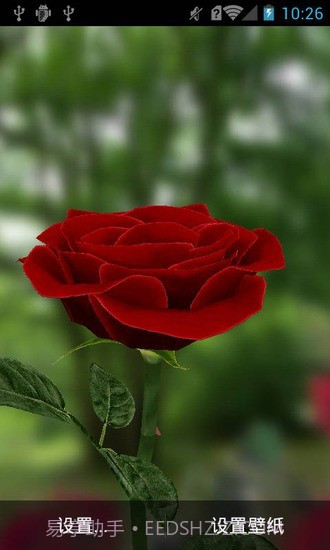 3D玫瑰动态壁纸1.3截图