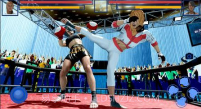 搏击俱乐部3Dv2鐎瑰宕渧1.11截图