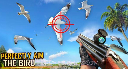 野鸟狩猎v1.13截图