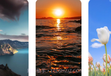 花瓣壁纸v1.0.18截图