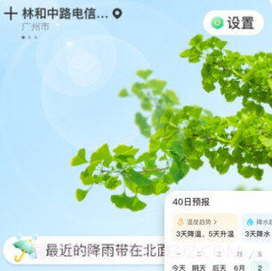 竹雨天气预报v1.0.12截图