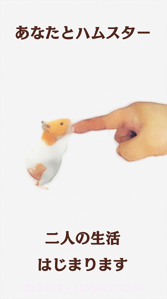 云仓鼠v3.41.3截图