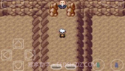 口袋妖怪究极绿宝石全神兽版v2021.01.07.15截图