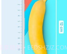 屏幕尺子v1.3.14截图