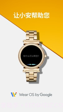 WearOSbyGooglev1.42截图