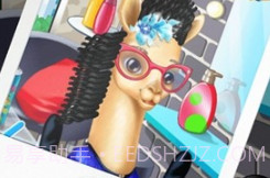 动物园美发沙龙v1.0.13截图