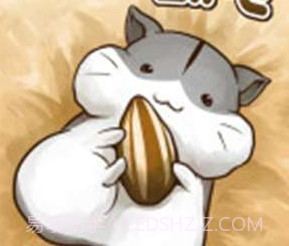 小仓鼠的生活v4.3.20截图