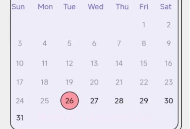 乖猪手账v0.14截图