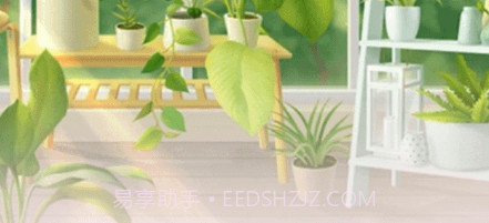 小兰君v1.16截图