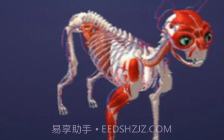 放置宠物v5.16截图