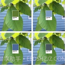 pantonev1.7.18截图