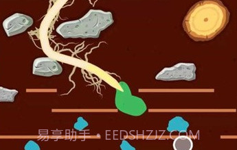 Take RootV1.18截图