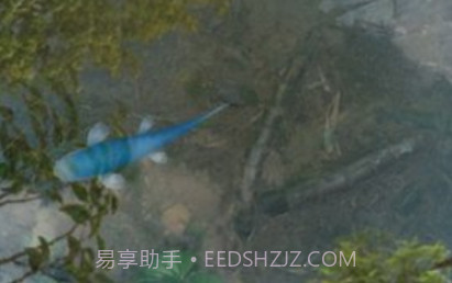 3d鱼池动态壁纸（Koi）v1.16截图