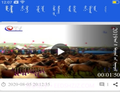 莫尔格勒v1.0.19截图