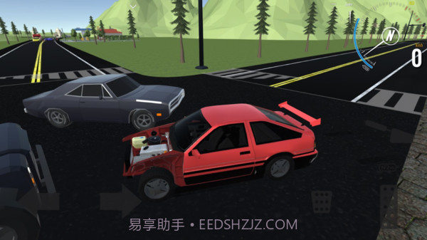 真实驾驶5截图2