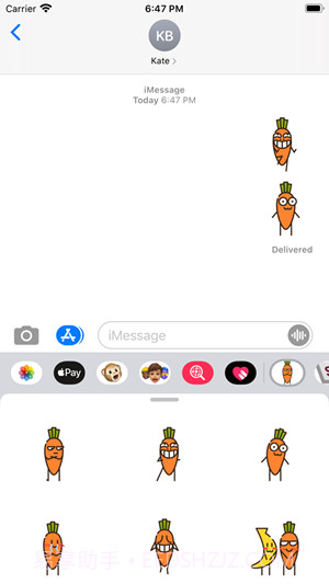 carrot胡萝卜截图1 carrot胡萝卜截图1