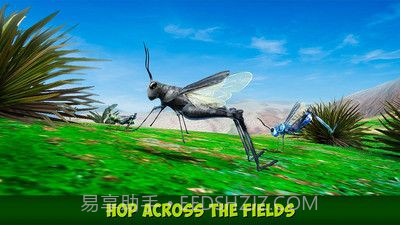 印度蝗虫模拟器汉化版截图3 印度蝗虫模拟器汉化版截图3