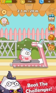 奔跑小猫截图2