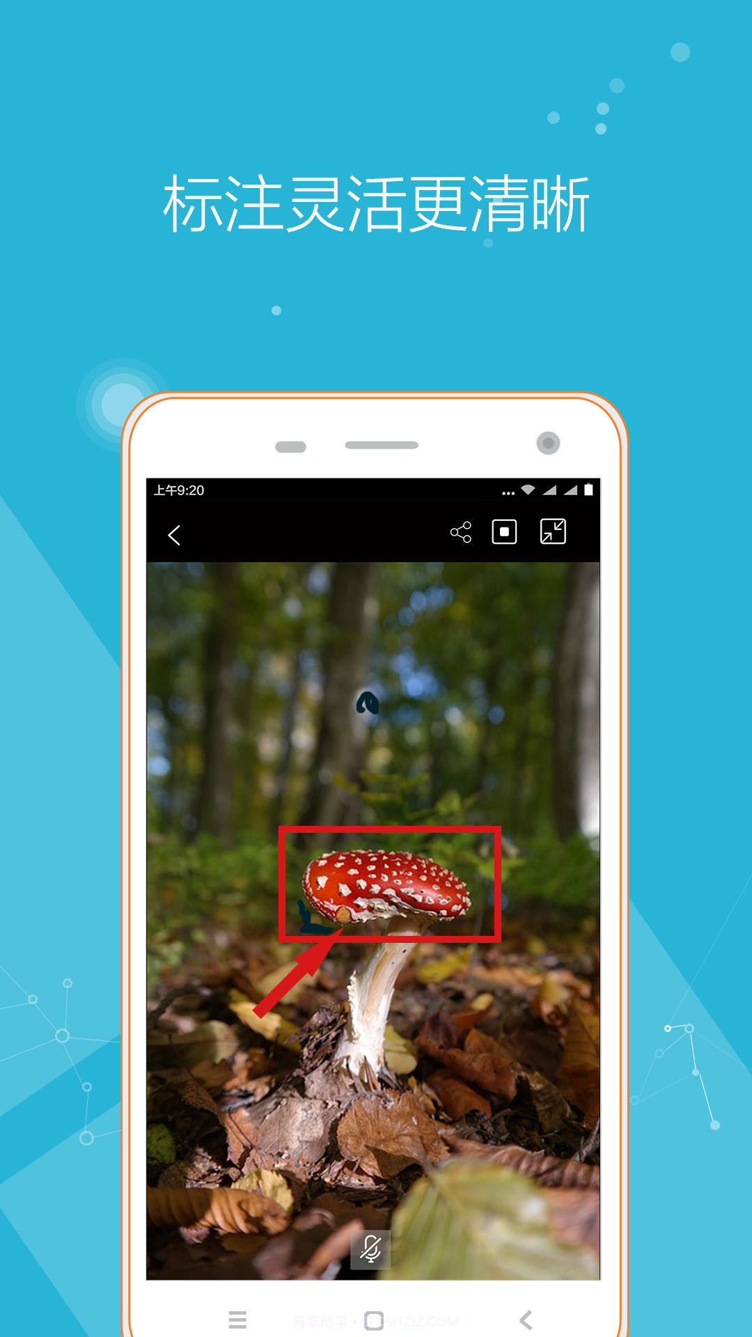 远程投影仪截图1 远程投影仪截图1