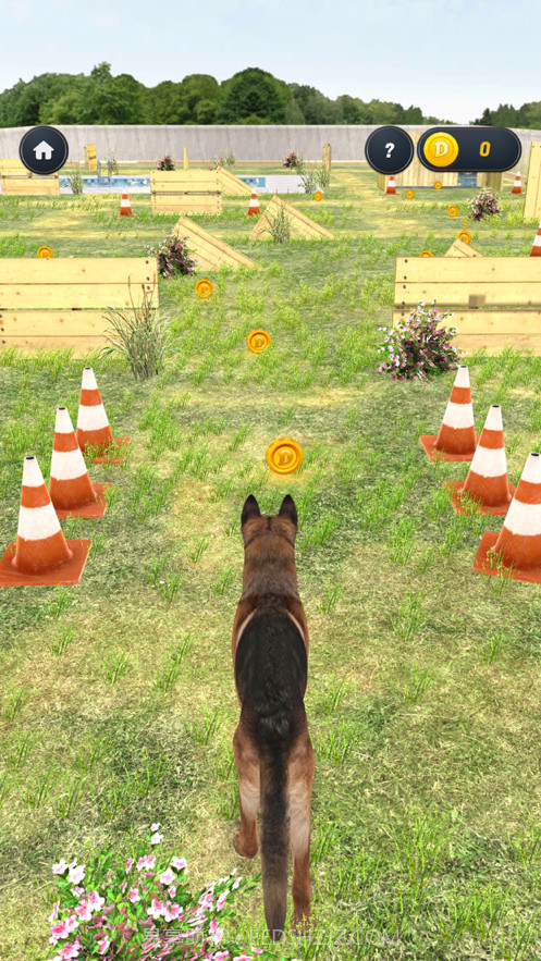 我的狗截图2 我的狗截图2