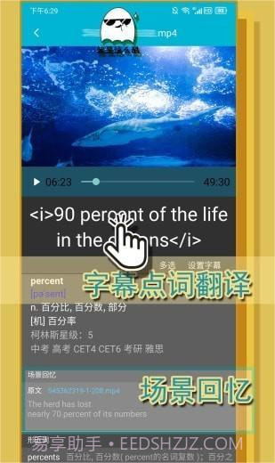 单词播放器截图1