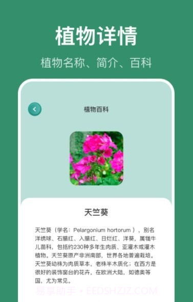 花仙识花草截图1