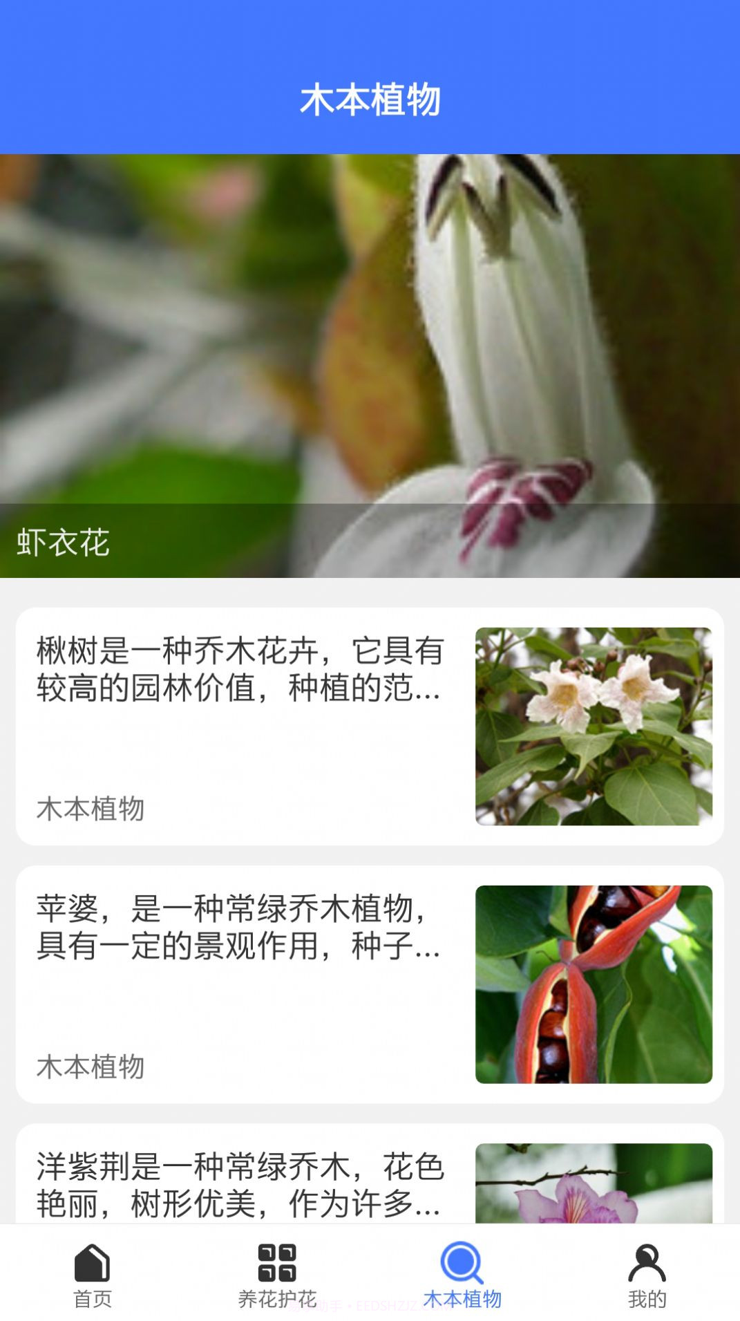 好用拍照识别截图3 好用拍照识别截图3