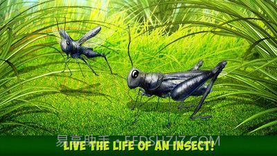 印度蝗虫模拟器汉化版截图2 印度蝗虫模拟器汉化版截图2