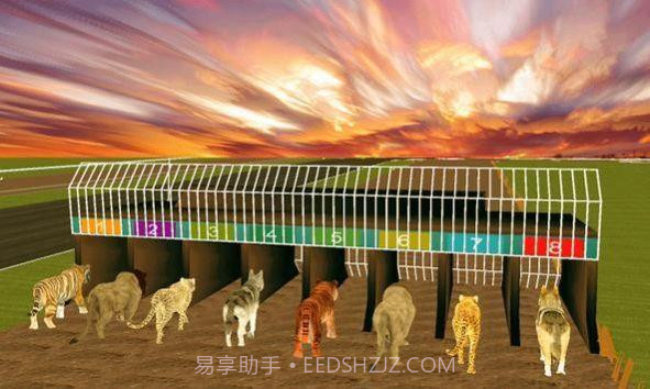 疯狂的丛林动物竞速截图2 疯狂的丛林动物竞速截图2