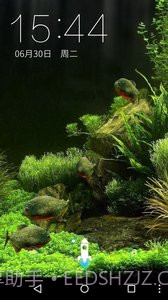 3D食人鱼：梦象动态壁纸截图4