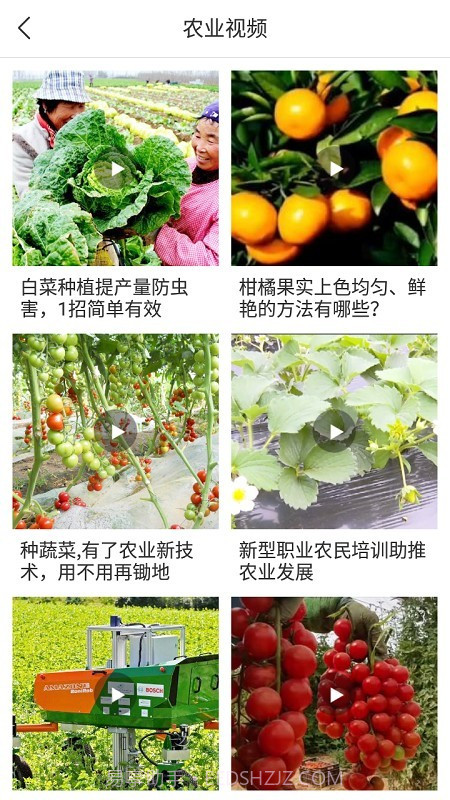 宁农宝截图4 宁农宝截图4