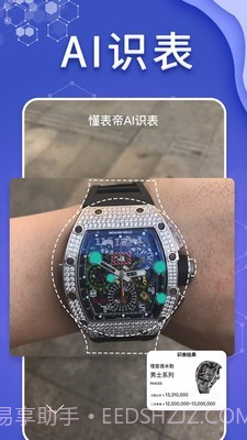 懂表帝ai识表截图1