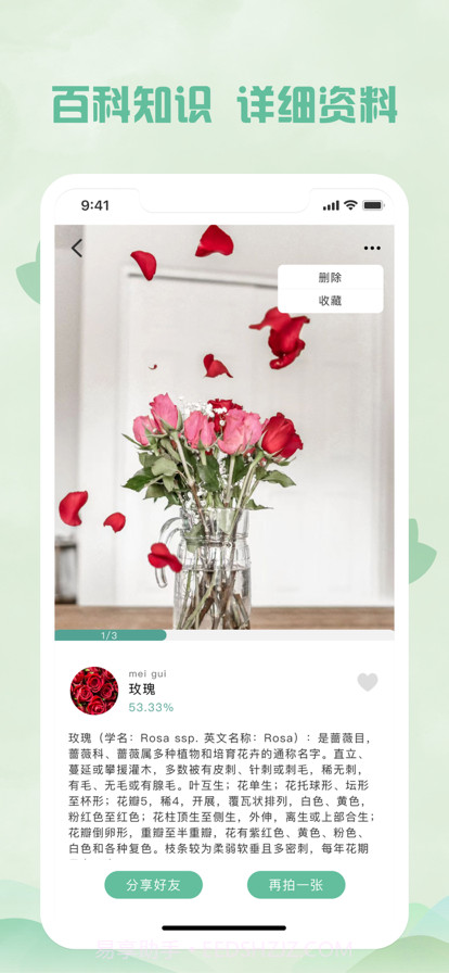 拍照识物:植物识别&拍照识花截图4