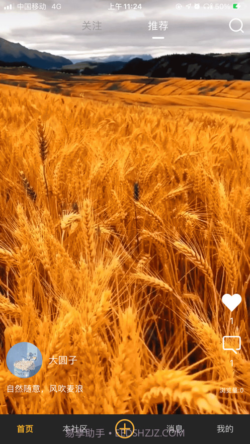 金果匠社播截图1