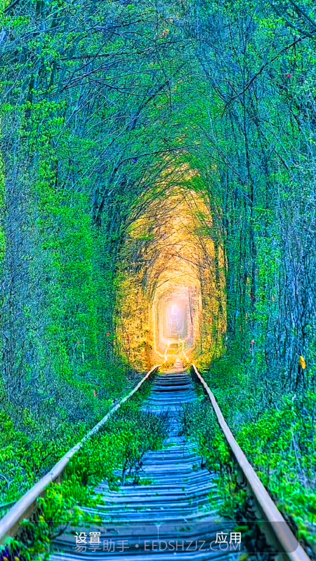 爱动态壁纸截图4