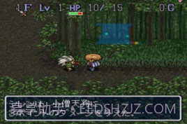 不可思议的迷宫（风来的西林）截图1