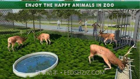 动物运输车截图3