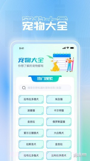 刷刷极速版截图2