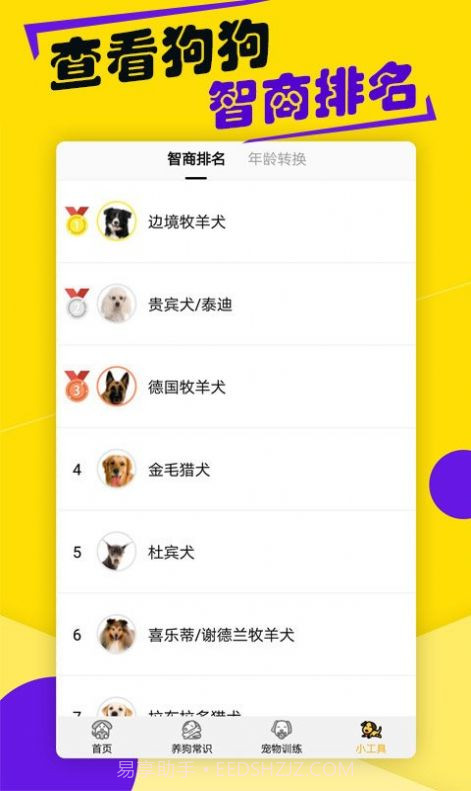 狗语交流翻译器截图2