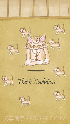 小猫进化截图3