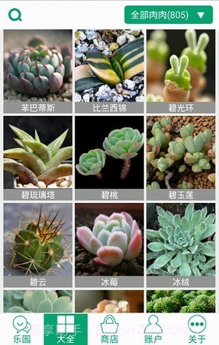 多肉植物截图1